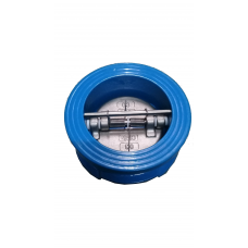 Tozen Check Valve 304 4in