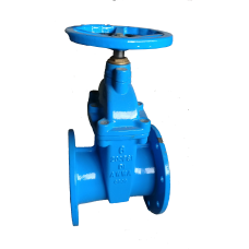 Tozen Gate Valve FT 150ansi 6in (150mm)