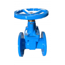 Tozen Gate Valve FT 150ansi 2½in (65mm)