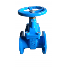 Tozen Gate Valve FT 150ansi 4in (100mm)